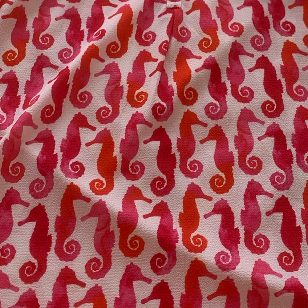 Seahorse Tank from Ron Jon surf shop